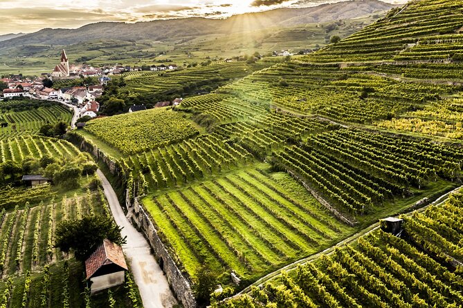3 Castles & Wine Private Tour in Wachau Valley (incl. Melk Abbey) - Dürnstein cobblestones, Richard the Lionheart, and a real lunch break