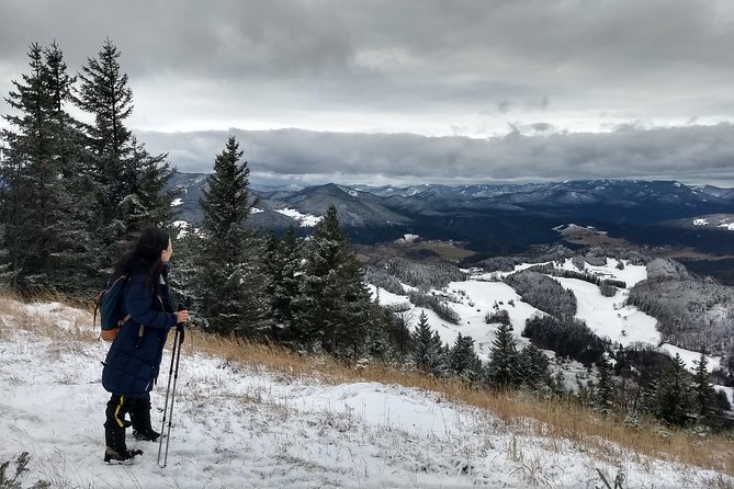 4-Hour Private Alpine Great George at High Wall Mountain from Vienna - 6 Key Things You’ll Notice on This Hohe Wand Great Gorge Hike