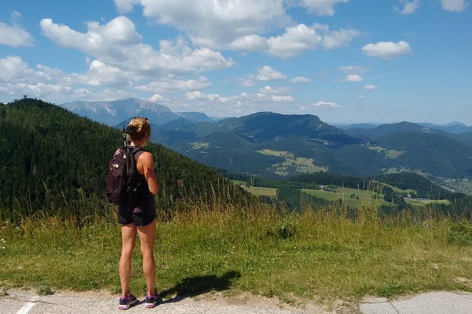 4-Hour Private Alpine Great George at High Wall Mountain from Vienna - Vienna to Hohe Wand: The Morning Flow and Why the 8:00 Start Helps