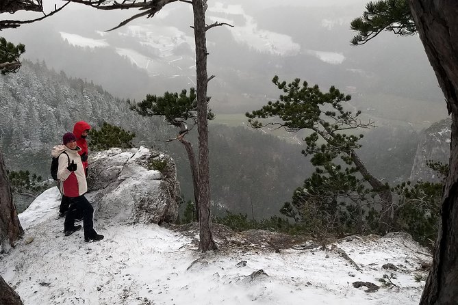 4-Hour Private Alpine Great George at High Wall Mountain from Vienna - The Great Gorge Core: Ladders, a Show Cave, and the Moment the Hike Pops