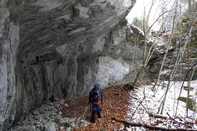 4-Hour Private Alpine Great George at High Wall Mountain from Vienna - Who This Hike Fits Best—and Who Should Skip It