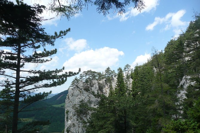 4-Hour Private Alpine Great George at High Wall Mountain from Vienna - Walking the Hohe Wand Rear Wall: Rock Formations, Forest Turns, and a Quieter Pace