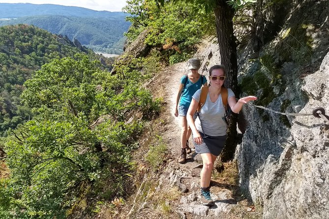 4-Hour Private Alpine Hiking Tour 'In the footsteps of king Lionheart' - Choosing the Right Comfort Level: Standard vs Simplified Route