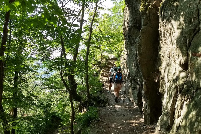 4-Hour Private Alpine Hiking Tour 'In the footsteps of king Lionheart' - Mid-Hike Breaks and Wildlife Time: Keeping It Enjoyable