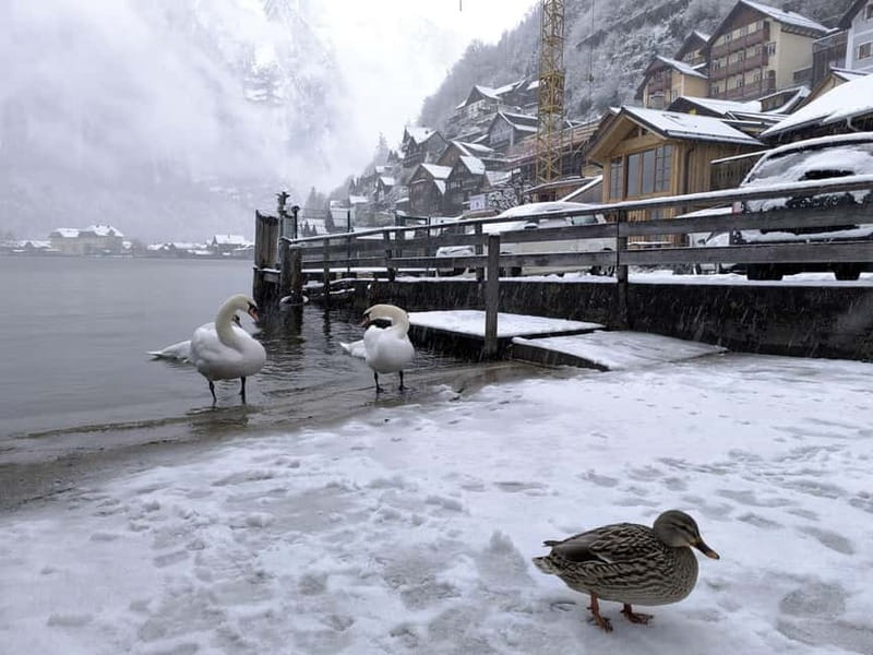 Alpine Beauty & Fairytale Towns: Hallstatt & Salzburg Tour - The Vienna or Bratislava to Salzburg Drive: 3.5 Hours That Aren’t Wasted