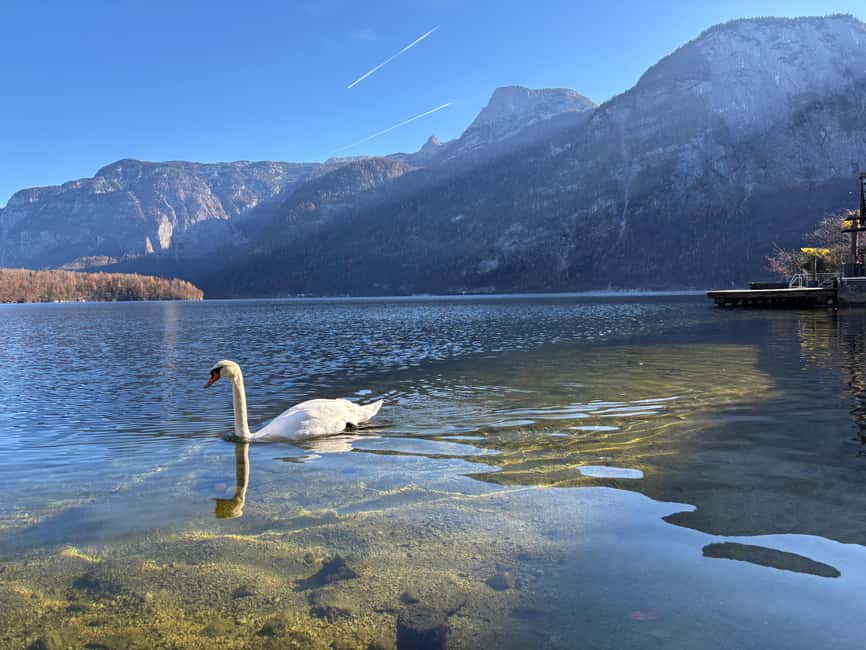 Austria: Hallstatt and Salzburg Day Tour from Vienna - Optional Traunkirchen stop: worth it when daylight cooperates