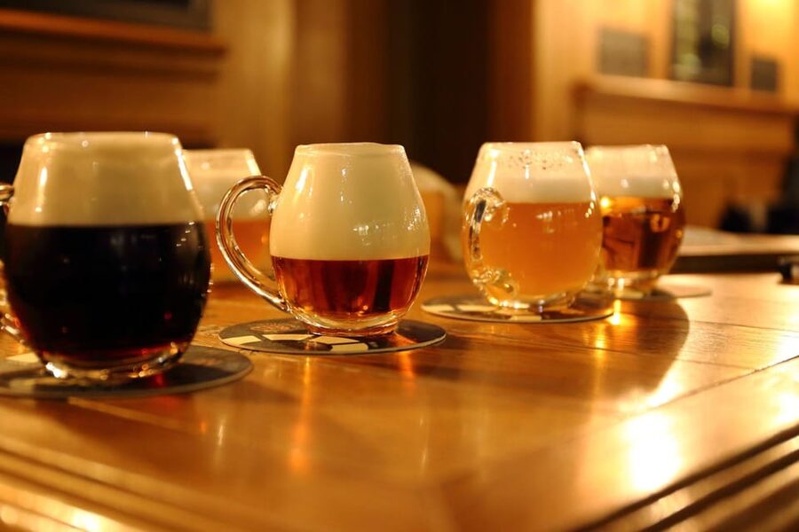 Austrian Beer Tasting and Self-Guided Tour of Vienna - Price and value: $11 for the structure, not the beer