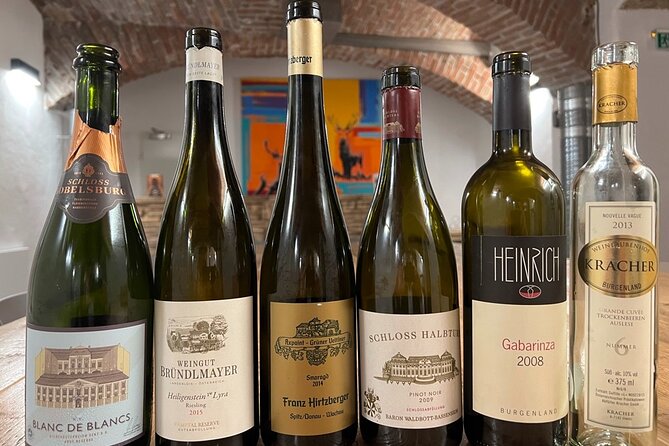 Austrian Wine Tasting - Who this tour is best for (and who should skip it)