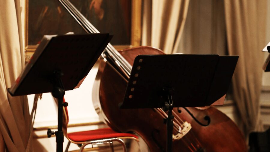 Best of Mozart & Strauss - Mozart and Strauss in Vienna: What You’re Actually Buying