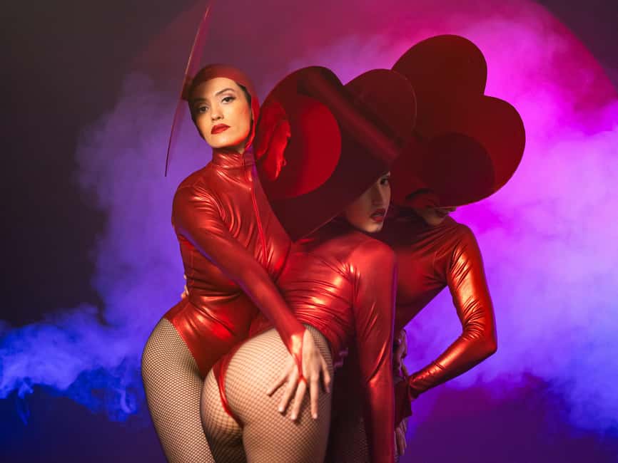 Burlesque Dinner Club in Vienna - What you’ll see in the burlesque show: seduction, elegance, and live energy
