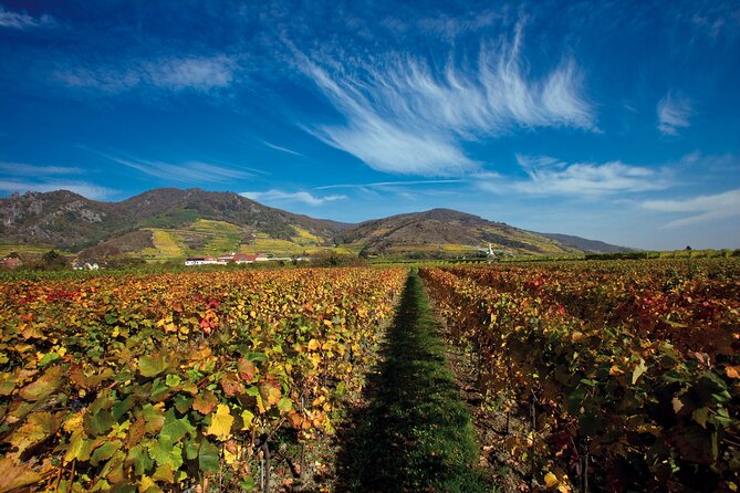 Cesky Krumlov and Wachau Danube Valley Tour from Vienna - Pace and Group Size: Comfort Matters When the Day Is Long