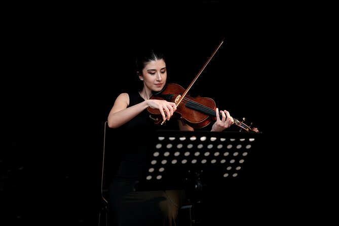 Concert at House of Music Vienna: Mozart, Strauss & the Masters - Price and Included Value: what you pay for (and what you do not)
