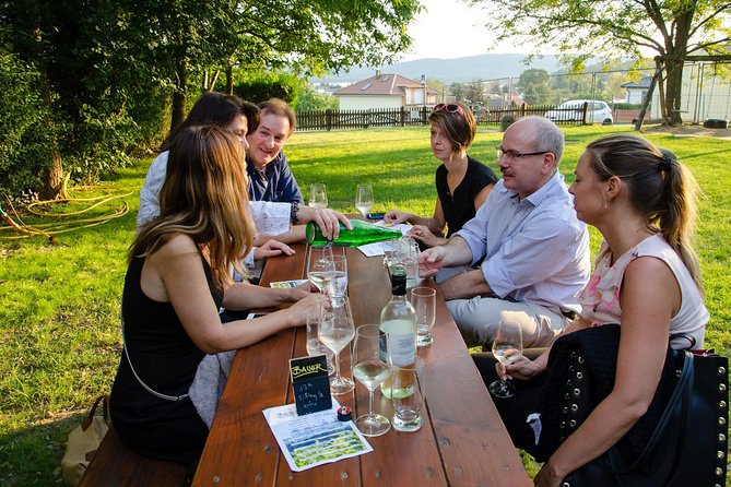 Countryside Half Day Wine Tour near Vienna - Key highlights you’ll care about