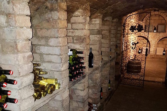 Countryside Half Day Wine Tour near Vienna - Vienna-to-Weinviertel: the ride that sets the mood