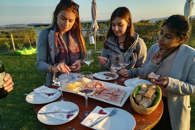 Countryside Half Day Wine Tour near Vienna - The itinerary: Vienna pickup, then wine country and the meal