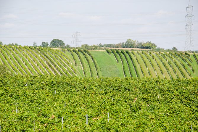 Countryside Half Day Wine Tour near Vienna - The main drawback to watch: matching your tour format to your expectations