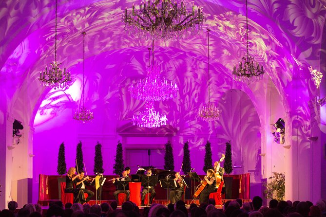 Exclusive Evening at Schönbrunn Palace: After-Hours Audiotour, Dinner, Concert - Who should book this after-hours palace, dinner, and concert?