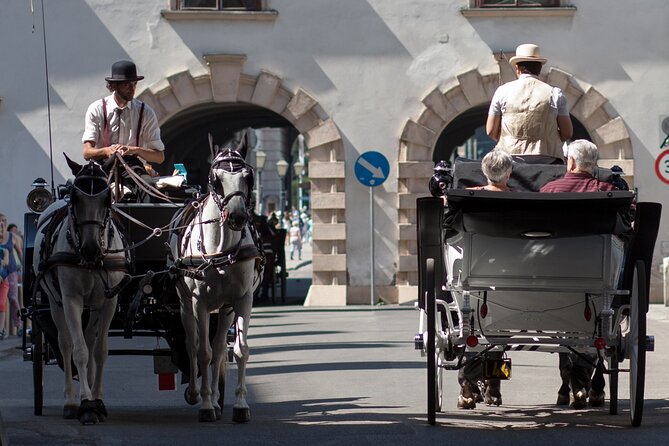 Exclusive Vienna Old Town Highlights Walking Tour (max. 6 persons) - Meeting at Albertinaplatz: The Green Umbrella System