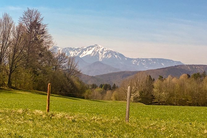 Exploring the Gutenstein Alps - Summit Views Without the Grind: reward after the climb