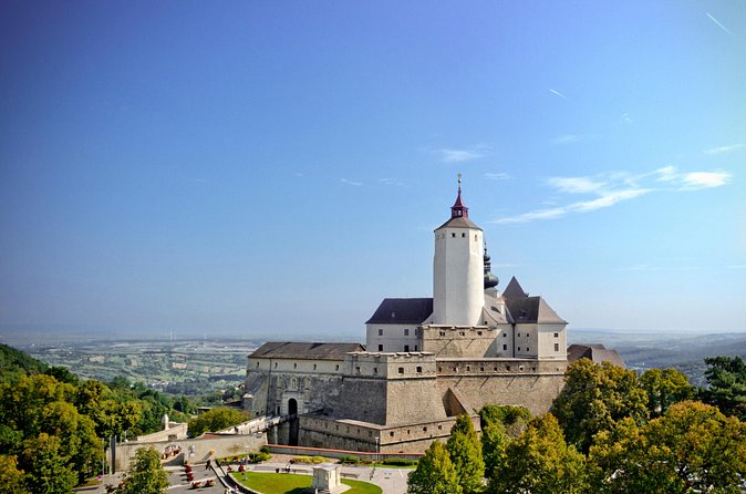 Forchtenstein Castle Guided Tour - The armoury and the “cabinet of curiosities” impact