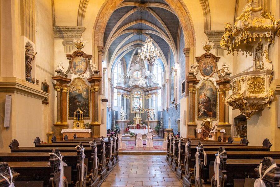 From Vienna: Bratislava Day Trip - Price and value: what you’re really paying for at $123