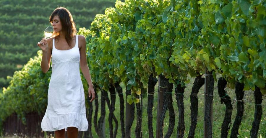 From Vienna: Half-day Countryside Wine Tour with Meal - Highlights That Make This Tour Worth Your Afternoon