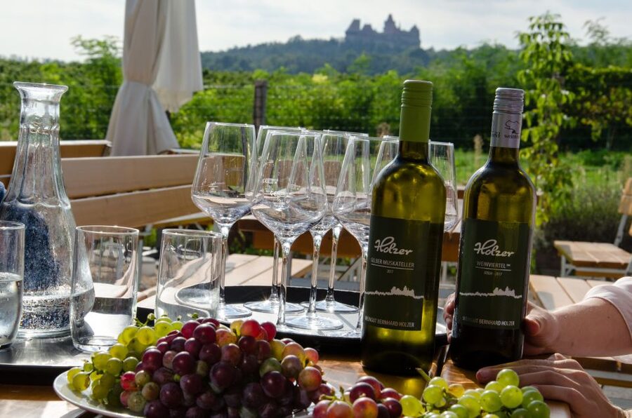 From Vienna: Half-day Countryside Wine Tour with Meal - Weinviertel Wine Country, Right Outside Vienna