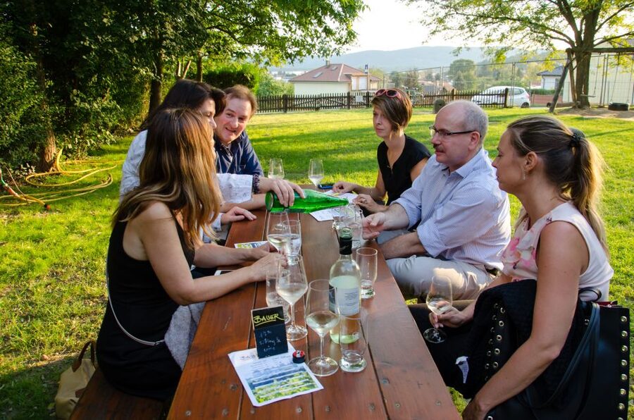 From Vienna: Half-day Countryside Wine Tour with Meal - Small Group Size (Up to 16) and Why It Matters