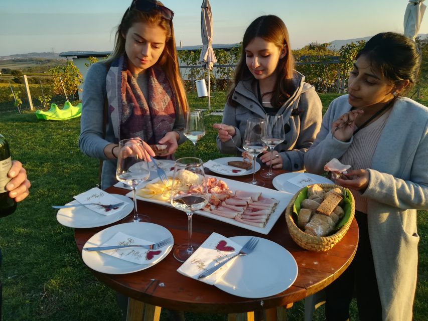 From Vienna: Half-day Countryside Wine Tour with Meal - Price and Value: What $141 Covers in a 4-Hour Day