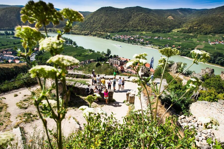 From Vienna: Wachau Valley Day Tour with Wine Tasting - What the wine tasting teaches you (beyond just drinking)