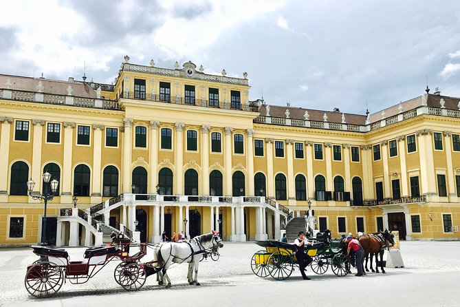 Grand Schoenbrunn Palace and Carriage Museum Tour Small Group - Quick stops you’ll be glad are included: ruins, exotic plants, orangery, and seasonal markets
