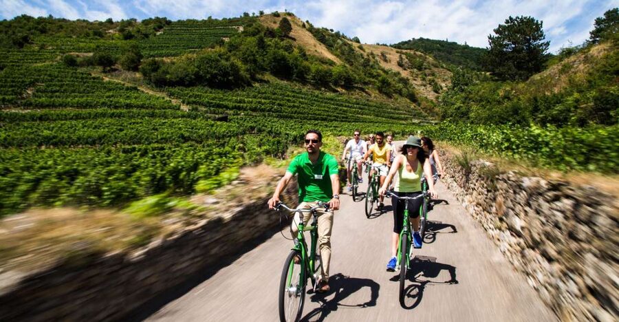 Grape Grazing: Wachau Valley Winery Biking Tour - Quick take: Wachau Valley biking + wine tasting in one day