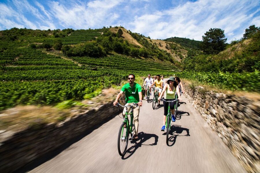 Grape Grazing: Wachau Valley Winery Biking Tour - Krems an der Donau bike time: easy start, big scenery payoffs