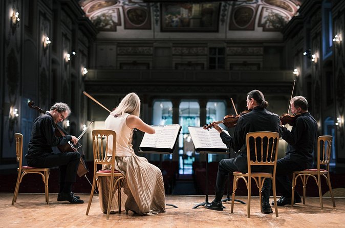 Haydn Quartett in the Musikverein (Brahms Hall) - Who this experience suits best (and who should think twice)