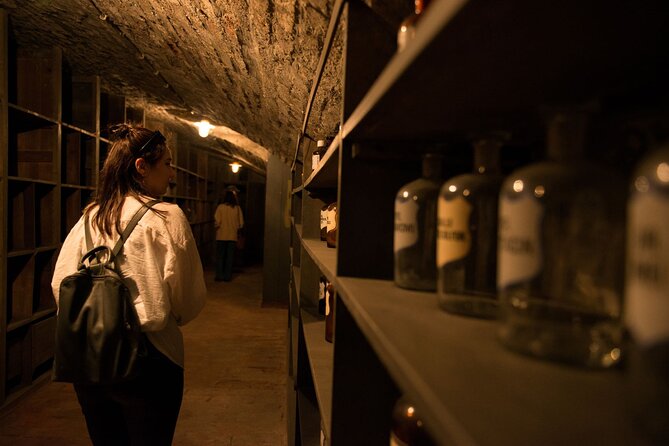 Historical Pharmacy Cellar Guided Tour - Down Below: What to Expect in the Private Historical Cellar