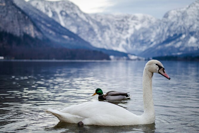 Magical Hallstatt Day Trip from Vienna - The Pace: Short Guided Moments, Then Time to Wander