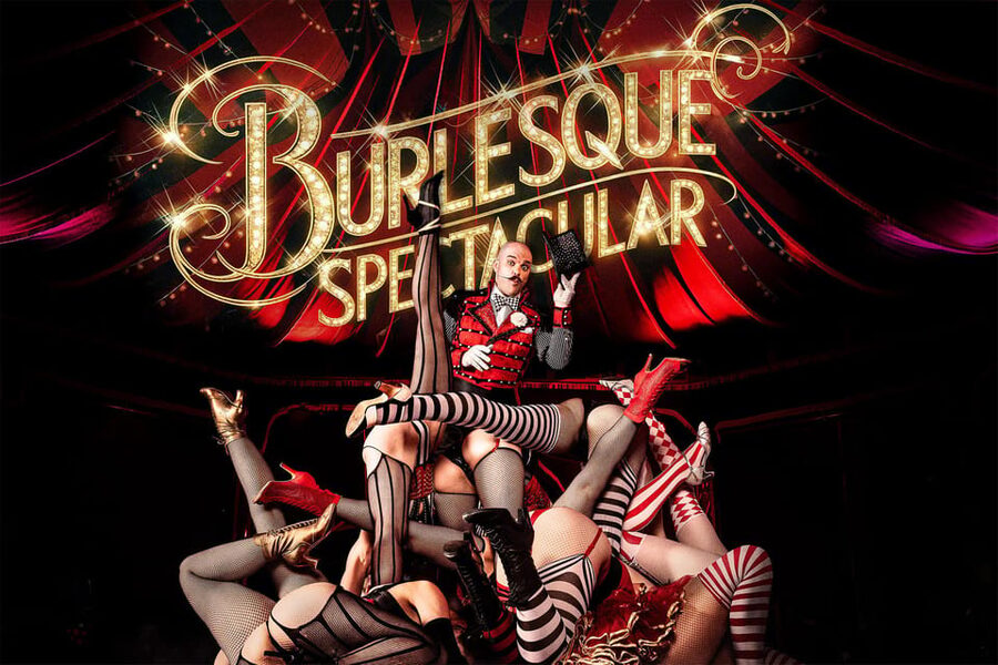 Mirage Vienna: Burlesque Spectacular – Dinner Show - The host and performance style: English moderation plus cheeky glamour