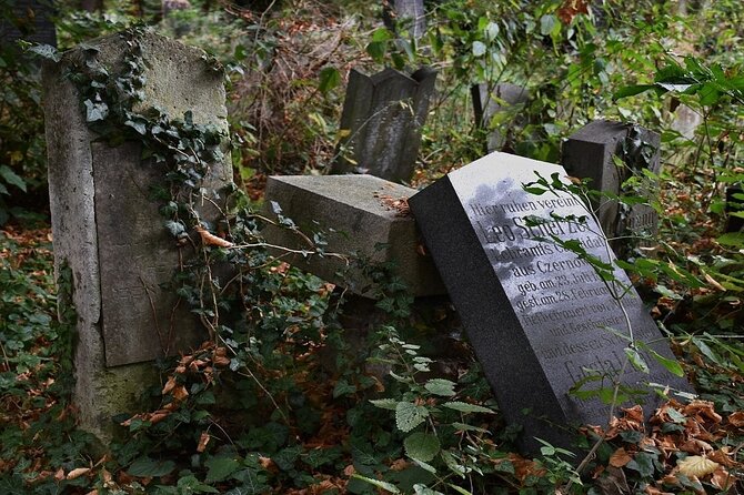 Mobile puzzle rally tour at the Vienna Central Cemetery - Key things I’d spotlight before you go