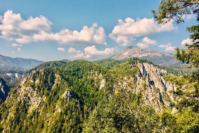 Ötschergräben Grand Canyon of Austria - What You Pay: Value Breakdown for $378.54