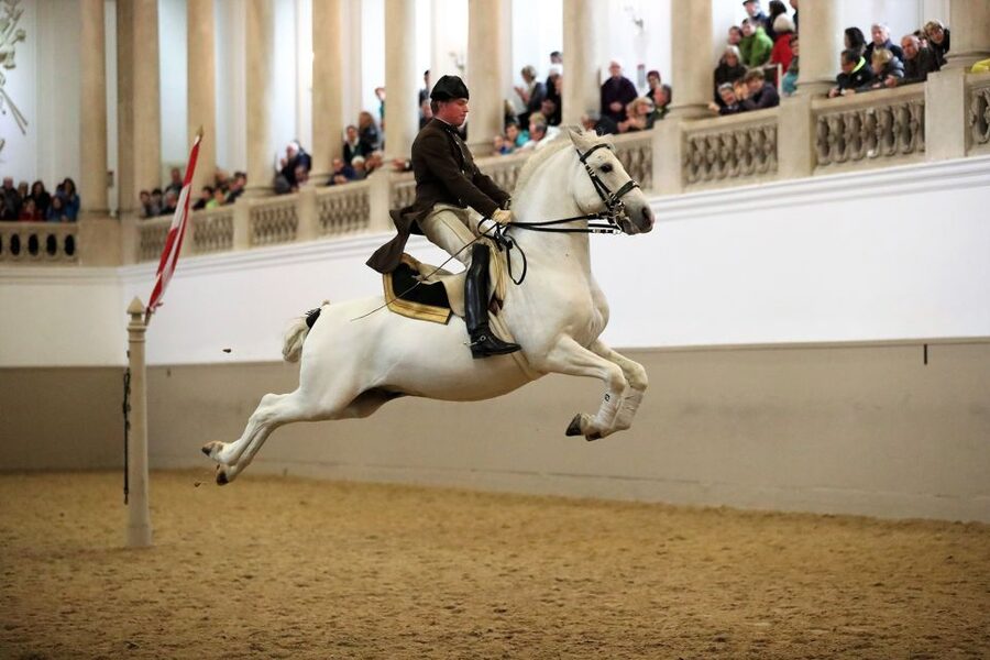 Performance Of The Lipizzans At Spanish Riding School - The Hofburg Winter Riding School: where “classical” actually feels physical