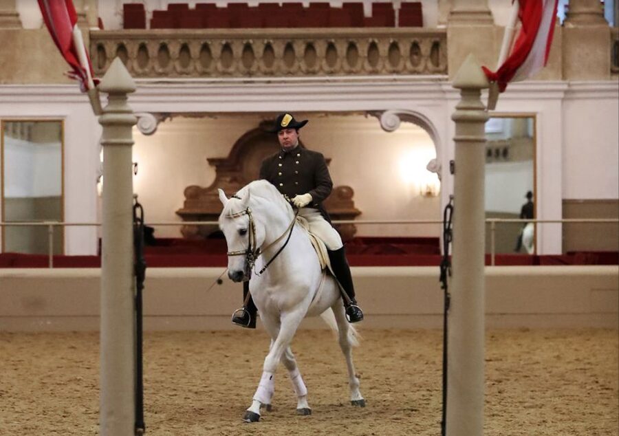 Performance Of The Lipizzans At Spanish Riding School - André Heller’s lighting and the classical Viennese music effect