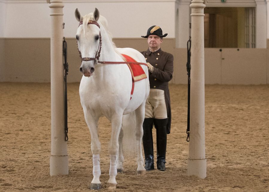 Performance Of The Lipizzans At Spanish Riding School - Comfort and timing tips once you’re at the Spanish Riding School