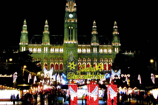 Private Christmas Markets Walking Tour Vienna - Walking comfort in Vienna winter: pace, patience, and smart clothing