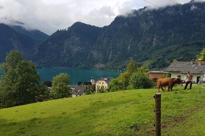 Private Day Trip from Vienna to Hallstatt - Hallstatt: 3.5 hours with a local guide (and fewer wrong turns)