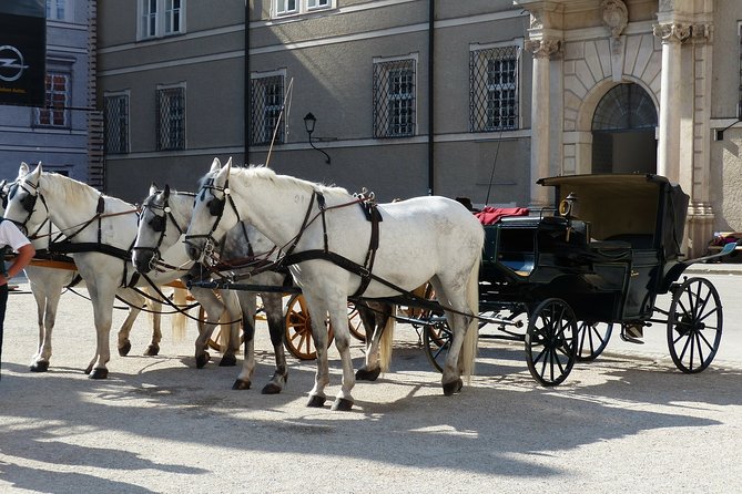 Private full day tour to Salzburg from Vienna with a local guide - Salzburg Old Town with a local guide: getting oriented fast