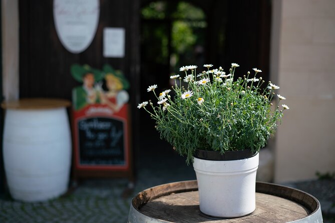 Private Guided Full Day Tour to charming Burgenland region with Wine tasting - Rust’s Wine Cellar Visit: Traditional Winemaking Up Close