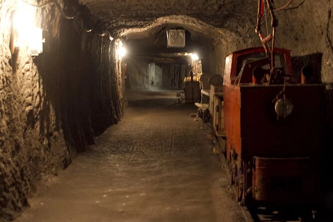 Private guided tour from Vienna to Hallstatt with Skywalk & Salt Mine Experience - Price and value: what you’re really paying for at $599
