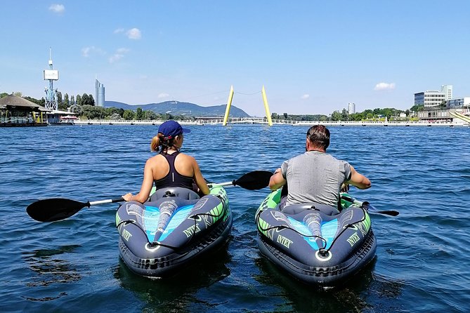 Private Kayaking Tour of Vienna - What you can see from the water: skyline, pontoons, and wildlife odds
