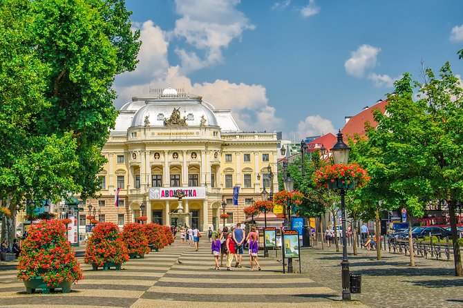 Private One Day Trip to Bratislava from Vienna - Should you book this Bratislava day trip from Vienna?