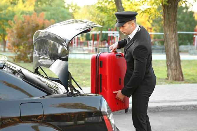 Private One-way Transfer Vienna Airport To Vienna - On the Road to Your Vienna Door in About 30 Minutes